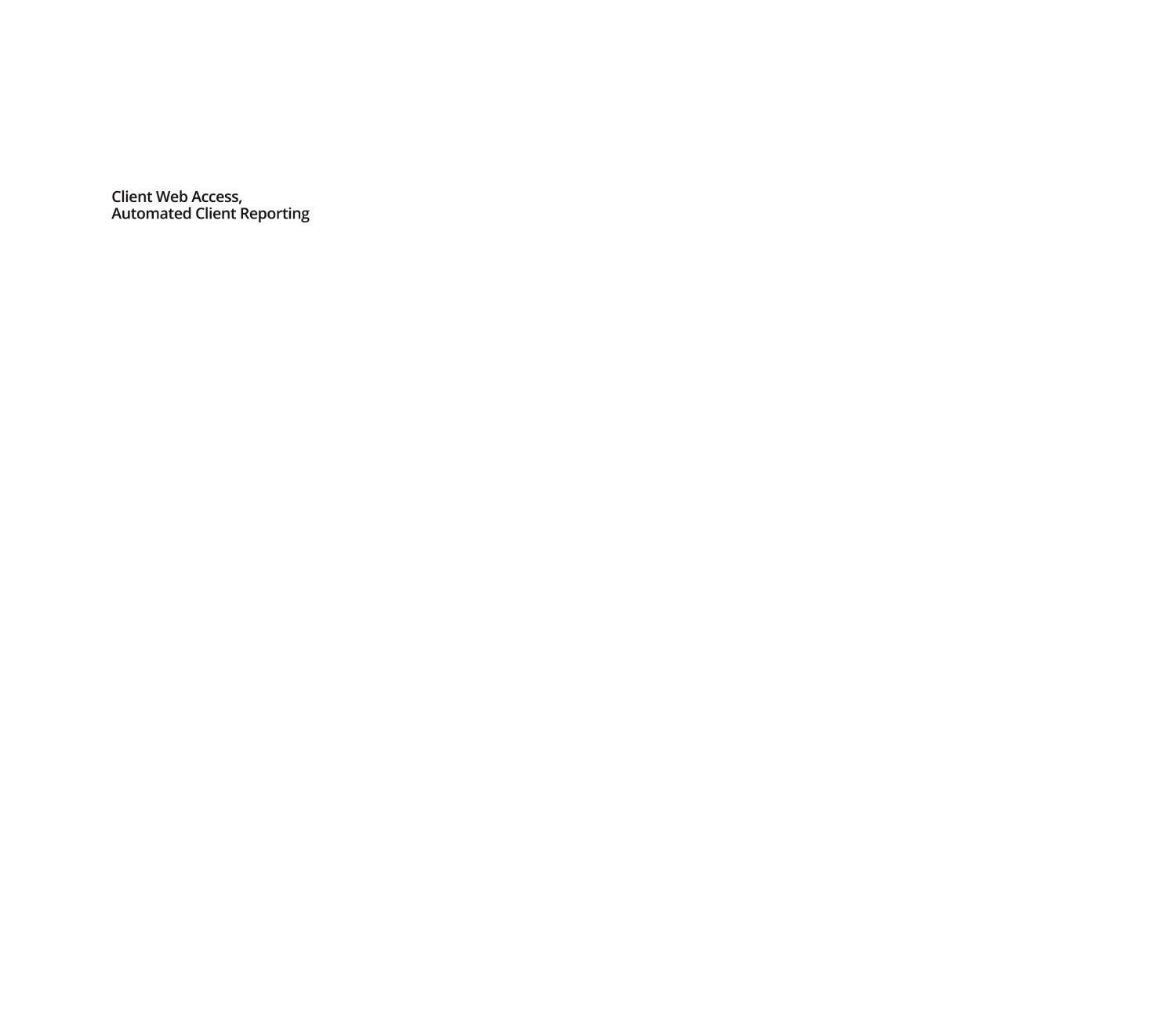 Client web access, automated client reporting